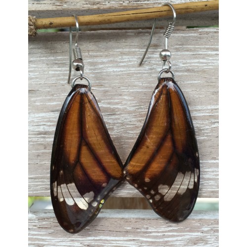 Boucles d'oreilles en ailes de papillon