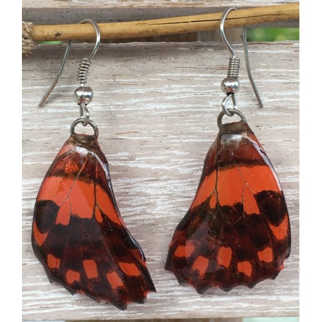 Boucles d'oreilles en ailes de papillon