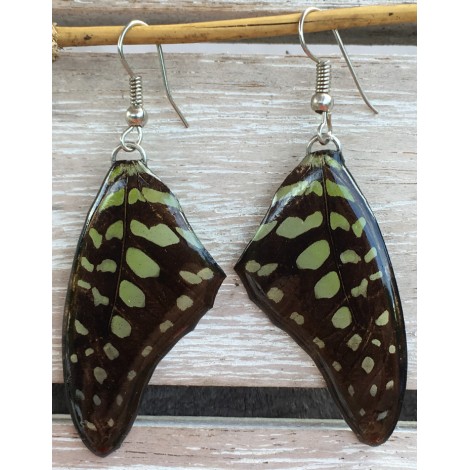 Boucles d'oreilles en ailes de papillon