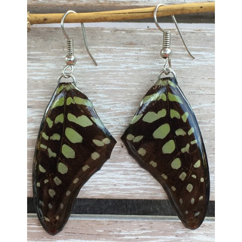 Boucles d'oreilles en ailes de papillon