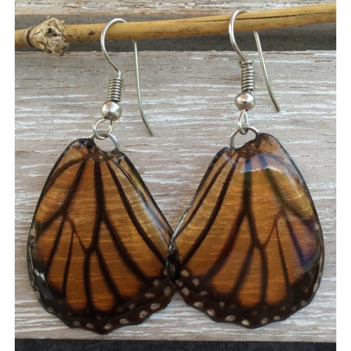 Boucles d'oreilles en ailes de papillon