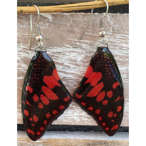 Boucles d'oreilles en ailes de papillon