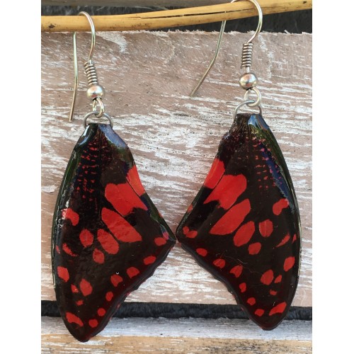 Boucles d'oreilles en ailes de papillon