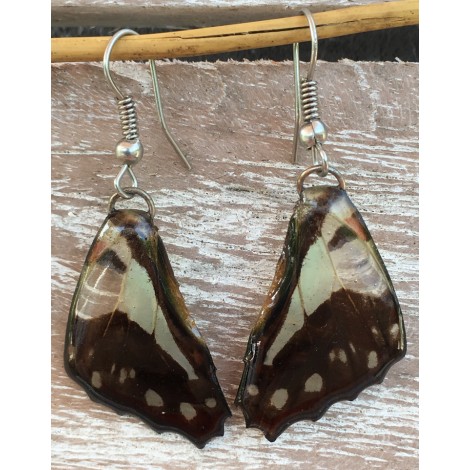 Boucles d'oreilles en ailes de papillon