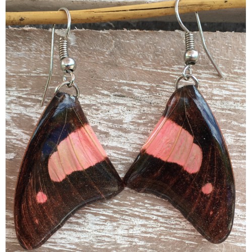 Boucles d'oreilles en ailes de papillon