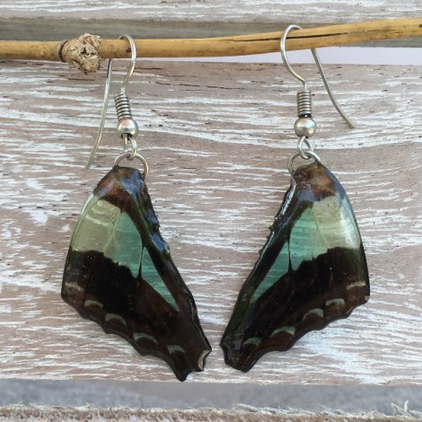 Boucles d'oreilles en ailes de papillon