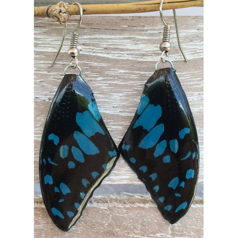 Boucles d'oreilles en ailes de papillon