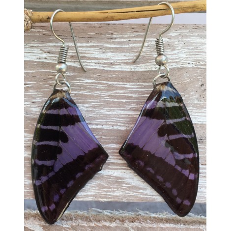 Boucles d'oreilles en ailes de papillon