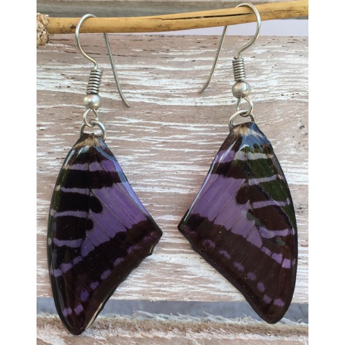 Boucles d'oreilles en ailes de papillon