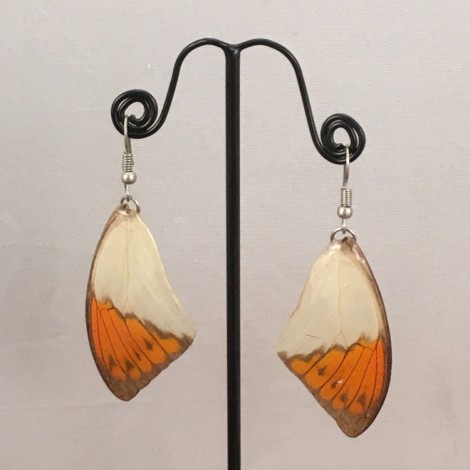 Boucles d'oreilles en ailes de papillon