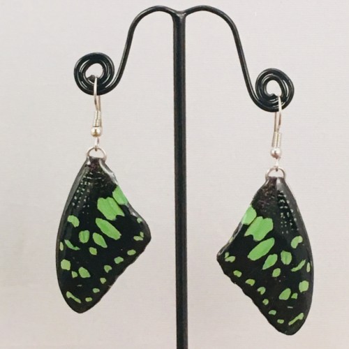 Boucles d'oreilles en ailes de papillon