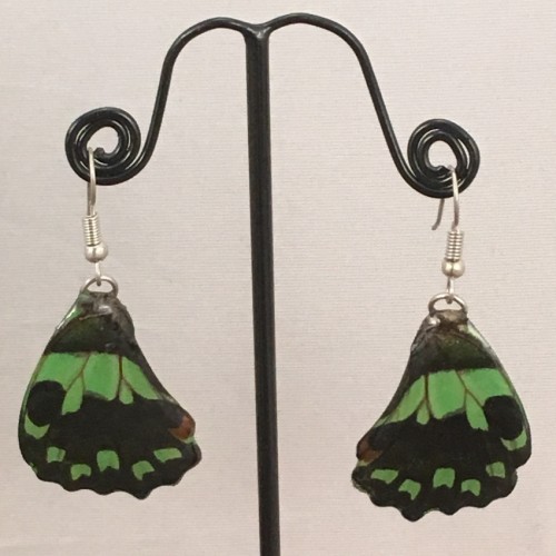 Boucles d'oreilles en ailes de papillon